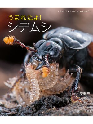 cover image of うまれたよ!シデムシ